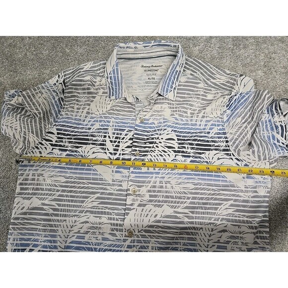 Tommy - Picture 6 of 7